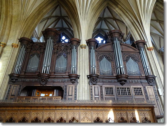 organ