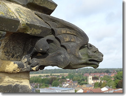gargoyle